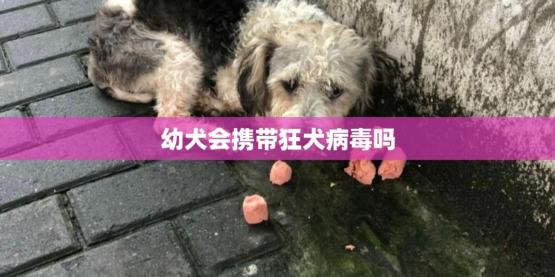 幼犬会携带狂犬病毒吗