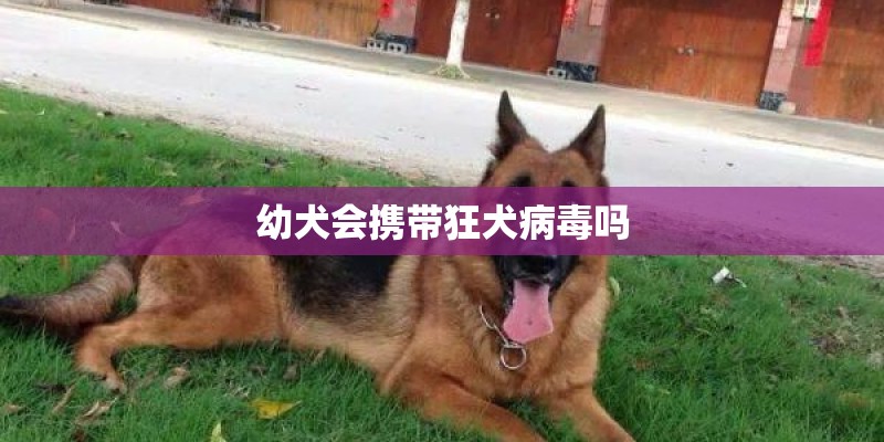 幼犬会携带狂犬病毒吗