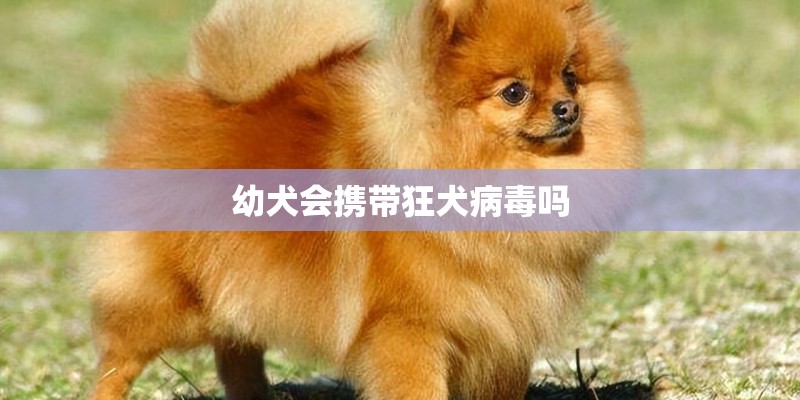 幼犬会携带狂犬病毒吗
