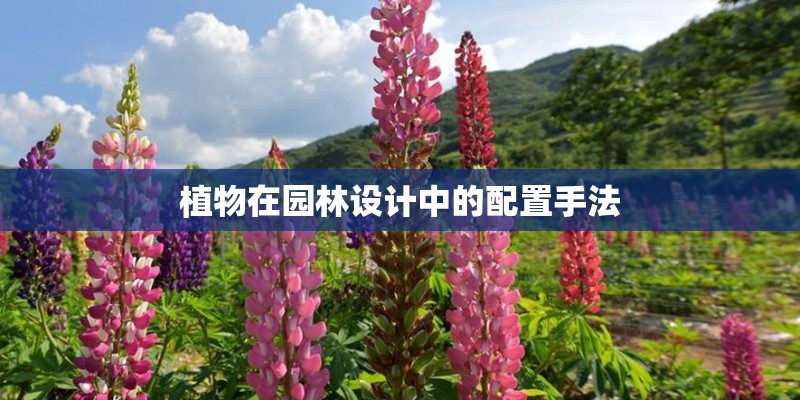 植物在园林设计中的配置手法