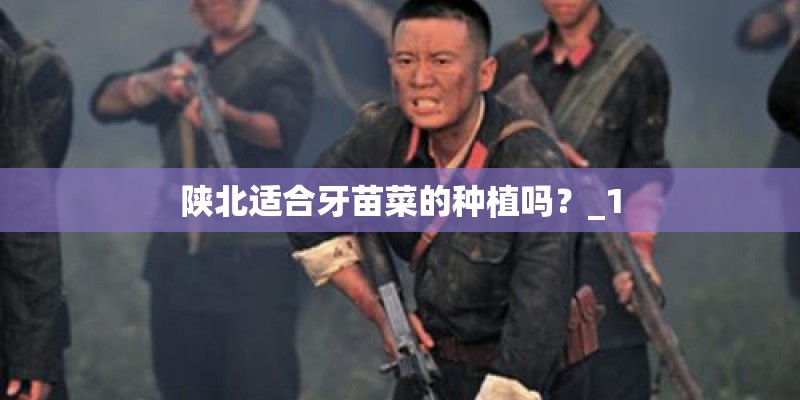 陕北适合牙苗菜的种植吗？_1