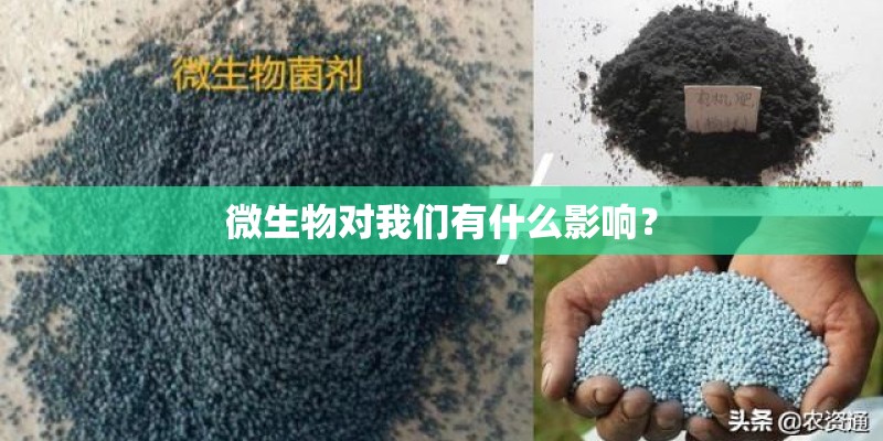 微生物对我们有什么影响？