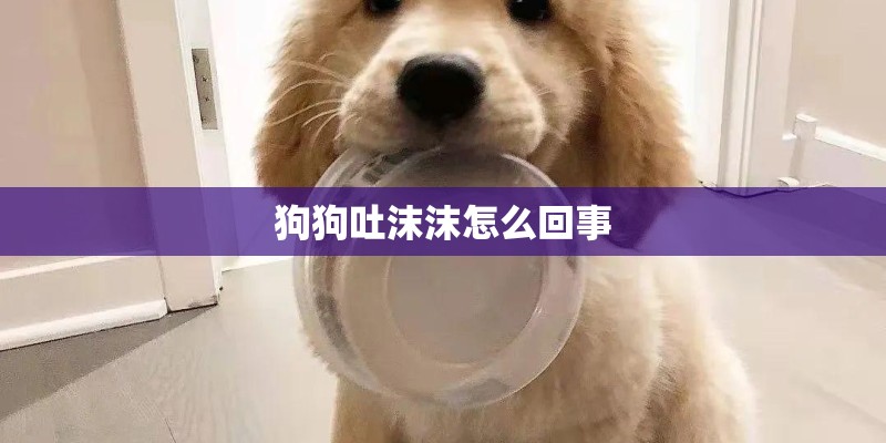 狗狗吐沫沫怎么回事