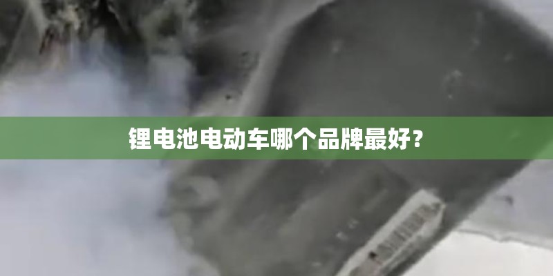 锂电池电动车哪个品牌最好？