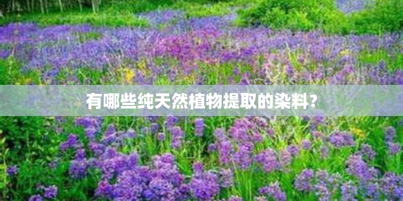 有哪些纯天然植物提取的染料？