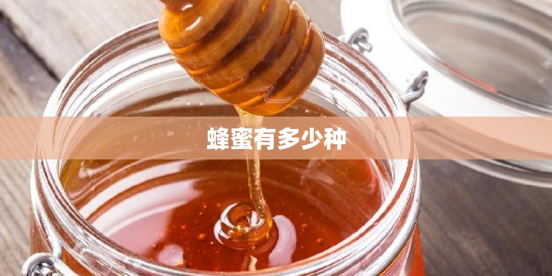 蜂蜜有多少种