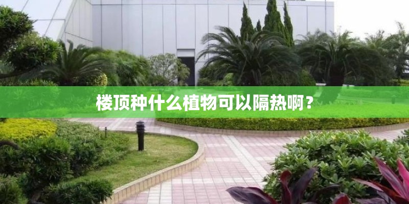 楼顶种什么植物可以隔热啊？