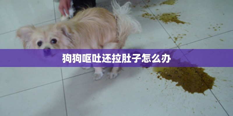 狗狗呕吐还拉肚子怎么办