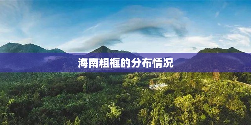 海南粗榧的分布情况