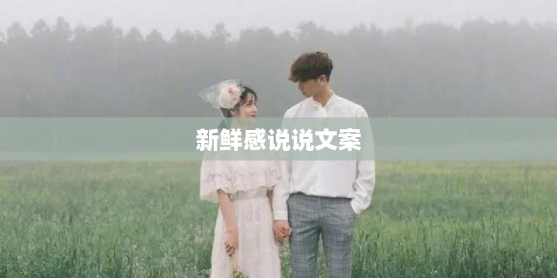 新鲜感说说文案