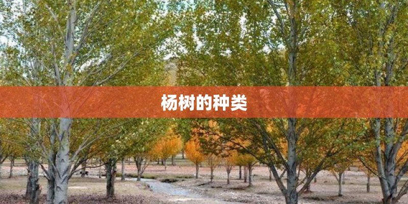 索尼克rpg大战7