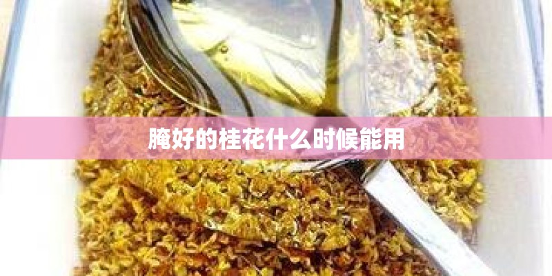 腌好的桂花什么时候能用