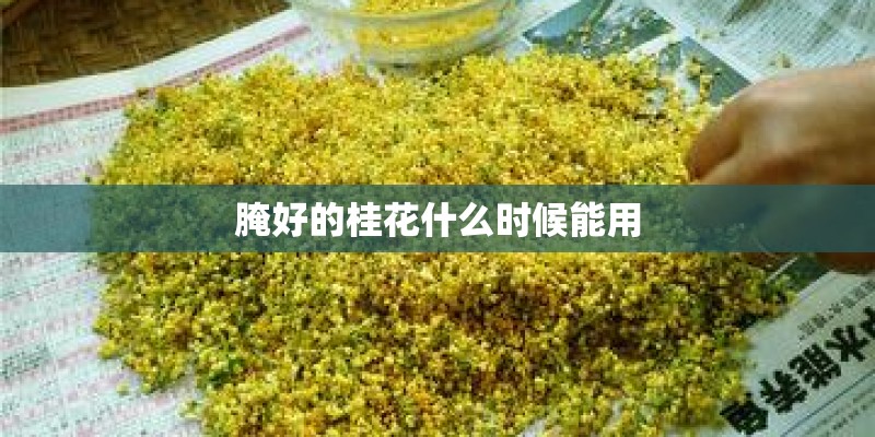 腌好的桂花什么时候能用