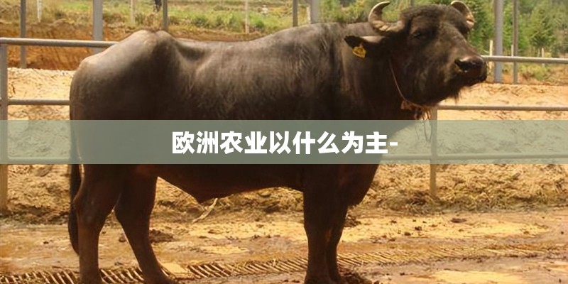 欧洲农业以什么为主- 欧洲农业以什么为主-