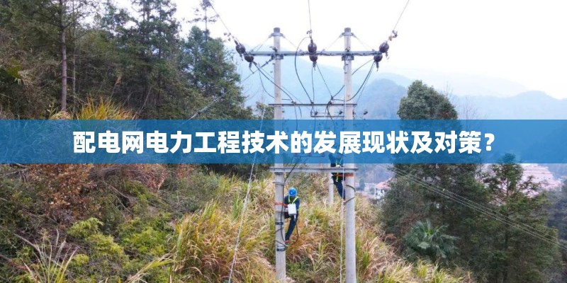 配电网电力工程技术的发展现状及对策？
