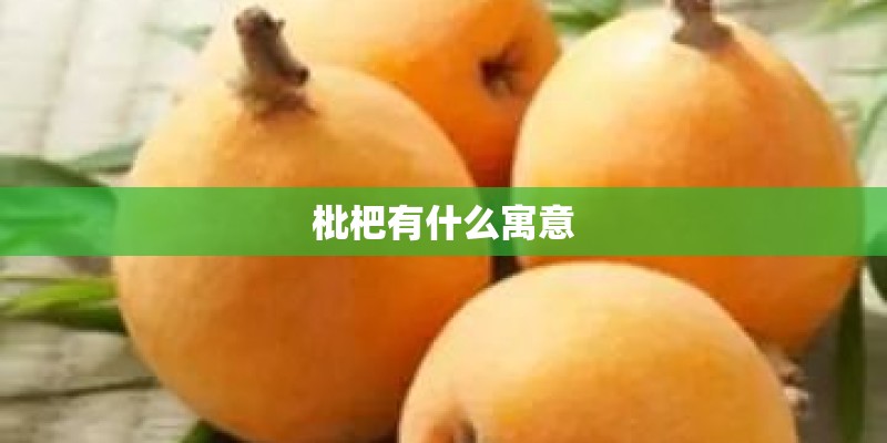 枇杷有什么寓意