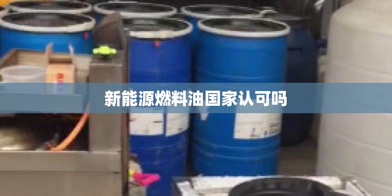 新能源燃料油国家认可吗