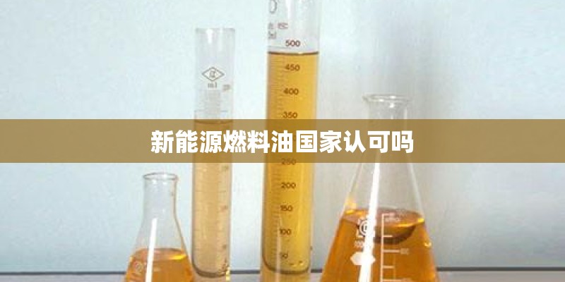 新能源燃料油国家认可吗