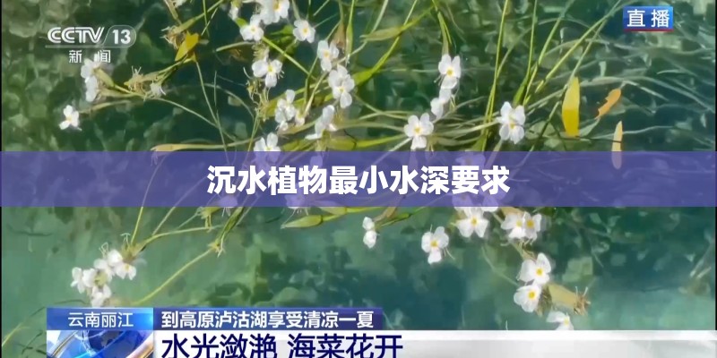 沉水植物最小水深要求