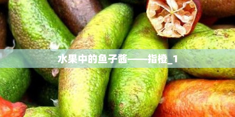 水果中的鱼子酱——指橙_1