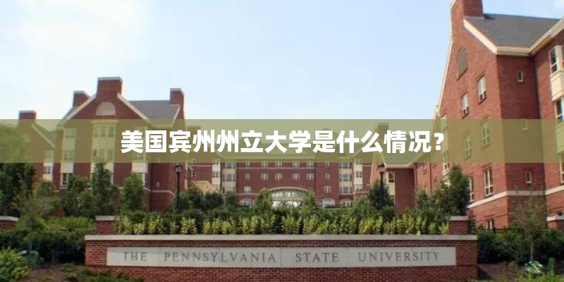 美国宾州州立大学是什么情况？