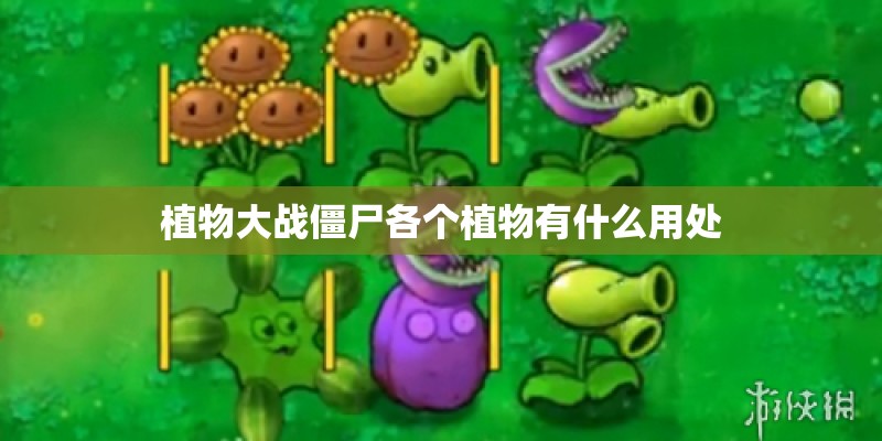植物大战僵尸各个植物有什么用处