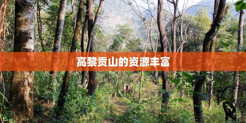 高黎贡山的资源丰富