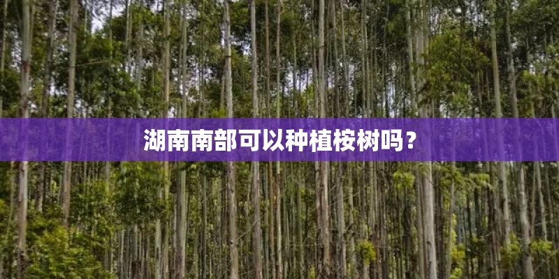 湖南南部可以种植桉树吗？