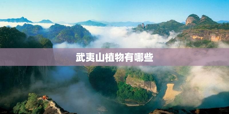 武夷山植物有哪些