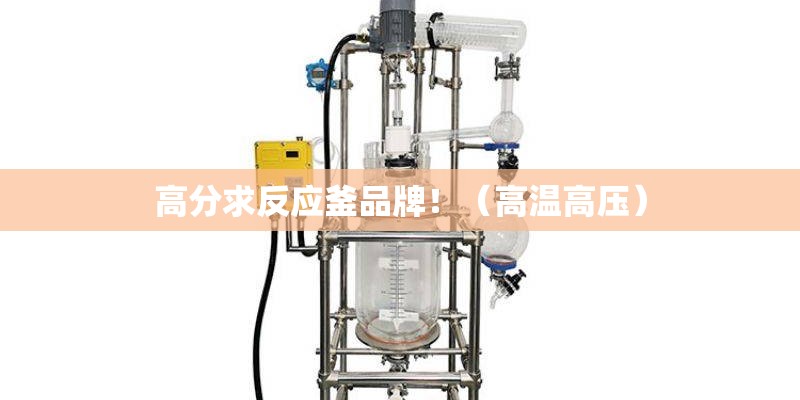 高分求反应釜品牌！（高温高压）