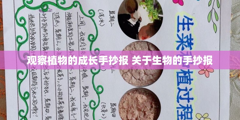 观察植物的成长手抄报 关于生物的手抄报