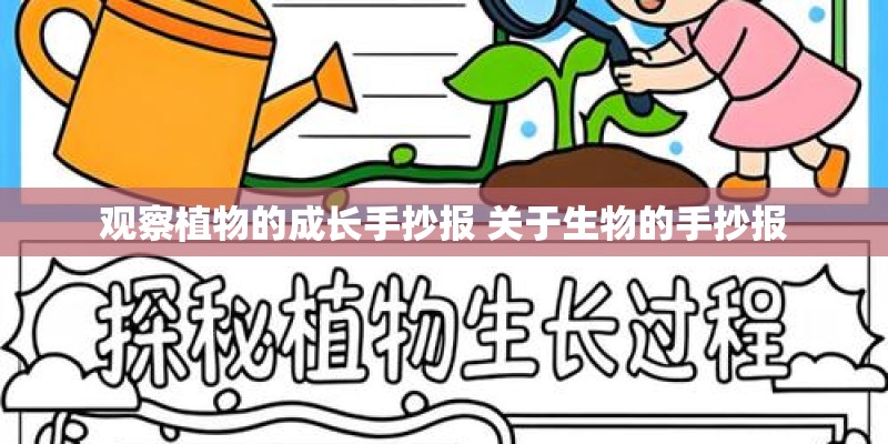 观察植物的成长手抄报 关于生物的手抄报