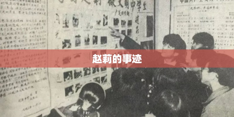 赵莉的事迹