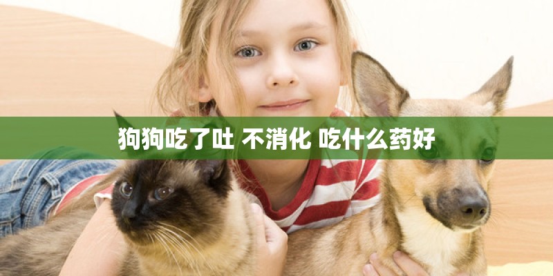 狗狗吃了吐 不消化 吃什么药好