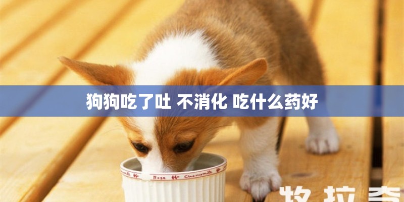 狗狗吃了吐 不消化 吃什么药好