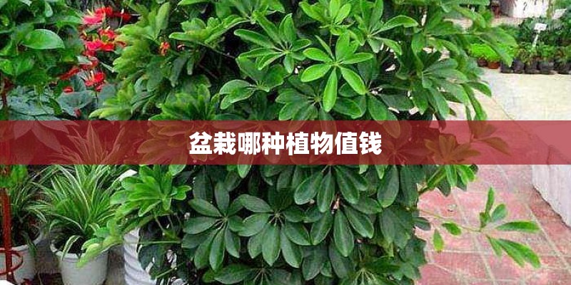 风力发电一圈几度电