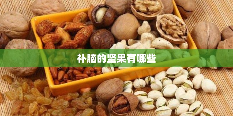 补脑的坚果有哪些