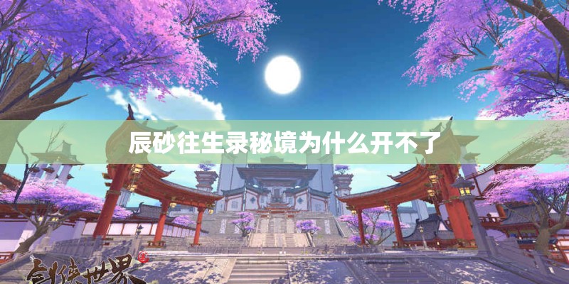辰砂往生录秘境为什么开不了
