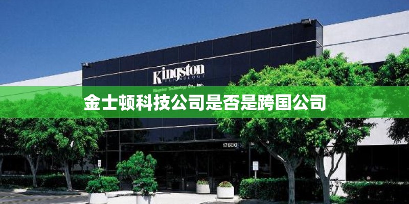 金士顿科技公司是否是跨国公司