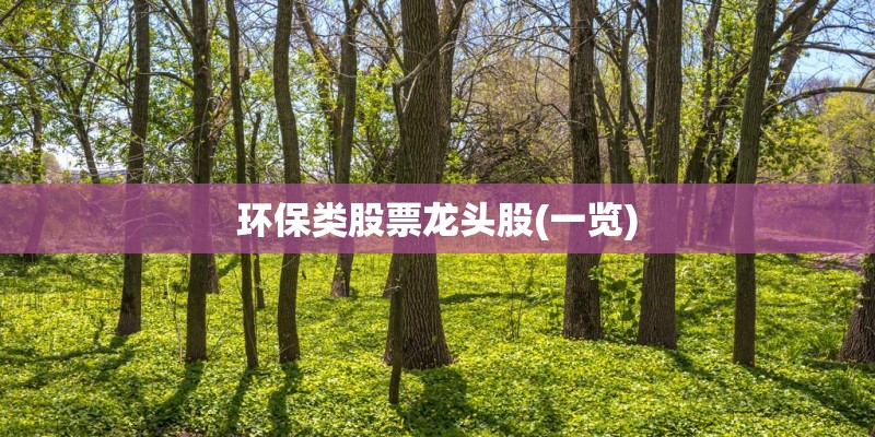环保类股票龙头股(一览)