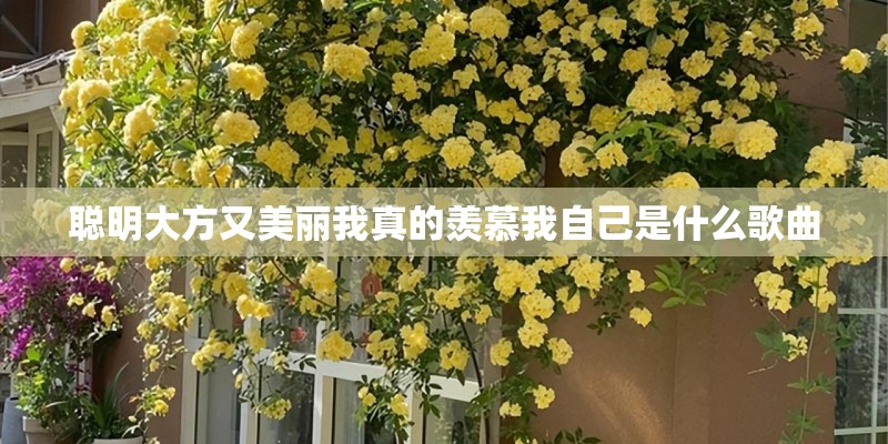 聪明大方又美丽我真的羡慕我自己是什么歌曲