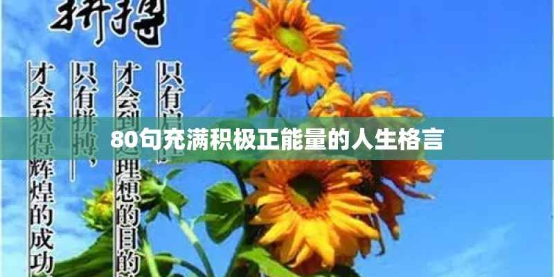 80句充满积极正能量的人生格言