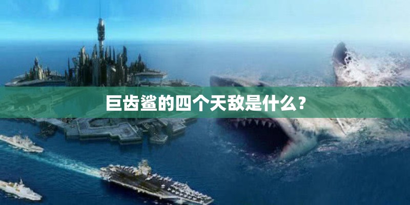 巨齿鲨的四个天敌是什么？