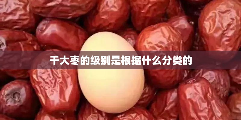 干大枣的级别是根据什么分类的