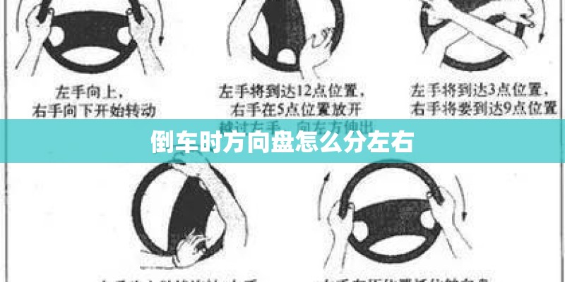 倒车时方向盘怎么分左右
