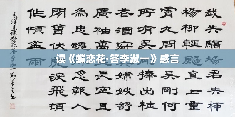 读《蝶恋花·答李淑一》感言