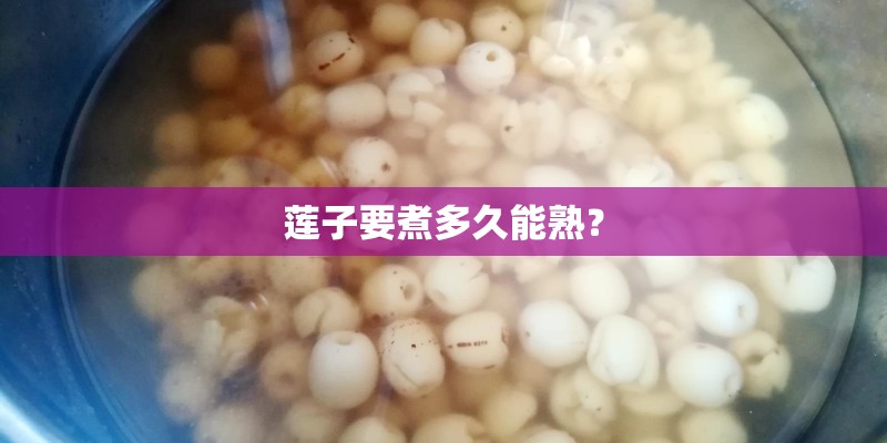 莲子要煮多久能熟？