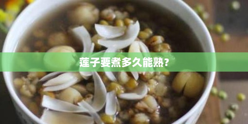 莲子要煮多久能熟？