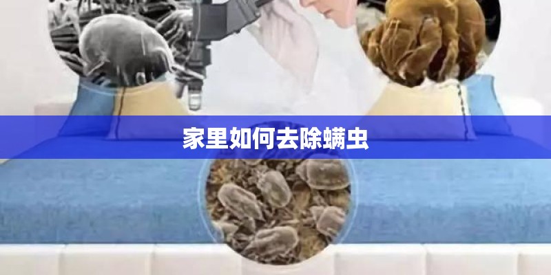 家里如何去除螨虫