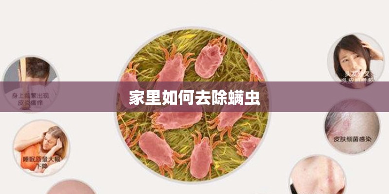 家里如何去除螨虫